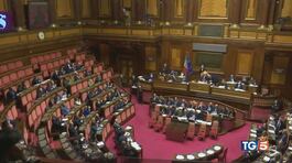 Orlandi e Gregori caccia alla verità thumbnail