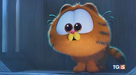 Garfield torna al cinema thumbnail