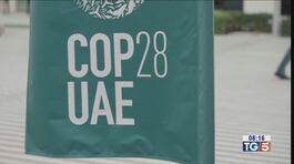 Oggi al via la COP 28 thumbnail