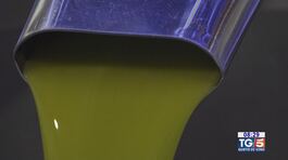 Gusto di Vino - L'olio pugliese thumbnail