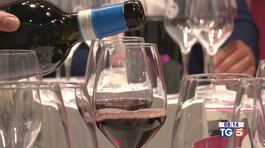 Vinitaly: business tra qualità e tradizione thumbnail