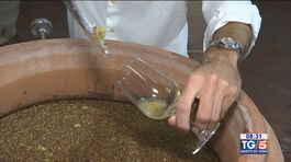 Gusto di Vino: Calavento thumbnail
