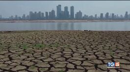 Salviamo la terra, basta chiacchiere! thumbnail