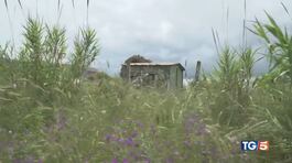 Violentata Anzio E' caccia all'uomo thumbnail