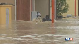 Esondazioni e sfollati, paura in Emilia Romagna thumbnail