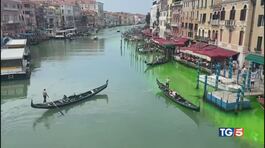 Venezia in verde resta il mistero thumbnail