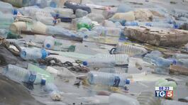 Giornata dell'ambiente troppa plastica in mare thumbnail