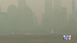 Una morsa di fumo attanaglia New York thumbnail