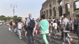 Turismo record in città sos abbandono animali thumbnail
