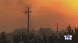 Sud Italia tra afa e incendi thumbnail