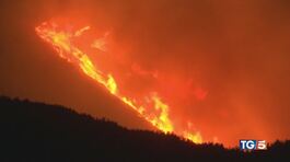 Incendi in Sicilia, sfiorati i 48 gradi thumbnail