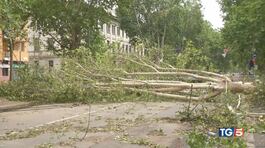 Tempeste e nubifragi, il nord in ginocchio thumbnail
