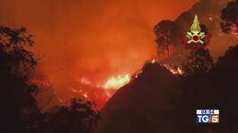 Roghi in Sicilia non c'è tregua thumbnail