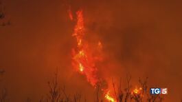 Incendi: da gennaio in fumo 50mila ettari thumbnail