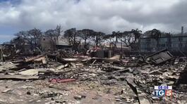 Incendi alle Hawaii bilancio drammatico thumbnail