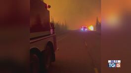 Incendi in Canada 110 morti alle Hawaii thumbnail