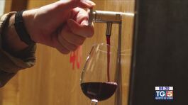 Gusto Di Vino - Il Negroamaro thumbnail
