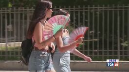 Tornati caldo e afa decimati i raccolti thumbnail