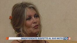 Dimenticare BB è impossibile thumbnail