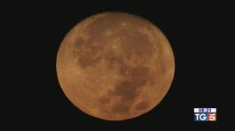 Notte di luna piena la più grande del 2023 thumbnail