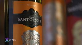 La cultura del vino di Casa Sant'Orsola thumbnail