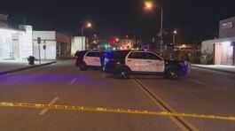 Usa, 10 morti al Capodanno cinese thumbnail