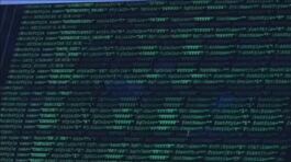 Vertice dopo l'attacco hacker thumbnail