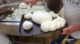 Le mozzarelle di Caraglio thumbnail