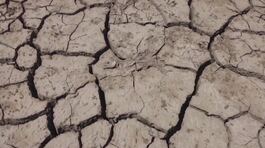 Earth day, salviamo il pianeta thumbnail
