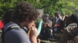 New York in una nuvola di marijuana thumbnail