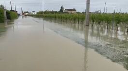 "Aiutateci a salvare l'agricoltura" thumbnail