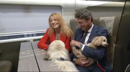 Quest'estate treno gratis per fido thumbnail