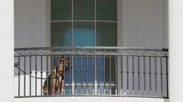 Casa Bianca, via il cane di Biden thumbnail