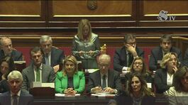 "Ostaggi liberi, siamo con Israele" thumbnail