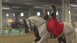 Il mondo del cavallo in fiera thumbnail