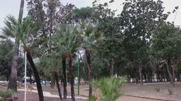 Caivano, rinasce il parco urbano thumbnail