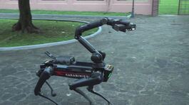 L'arma arruola "Saetta", cane robot thumbnail
