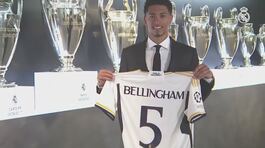 Bellingham, top del Real thumbnail