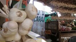 L'aglio di Caraglio thumbnail