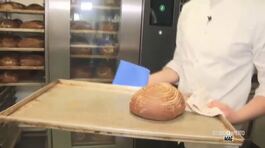 Il pane con la farina di grilli thumbnail