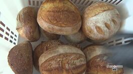 Vicino Torino il pane più buono d'Italia thumbnail