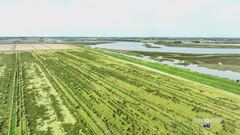 La Brussa di Caorle