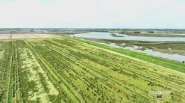 La Brussa di Caorle thumbnail