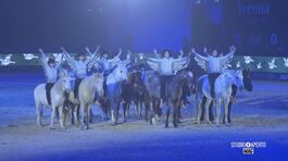 Fiera Cavalli di Verona thumbnail