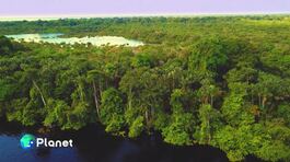 Proteggere l'Amazzonia, patrimonio verde inestimabile thumbnail
