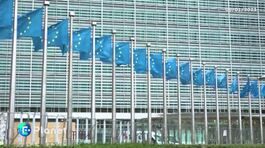 Deforestazione, l'Europa si muove thumbnail