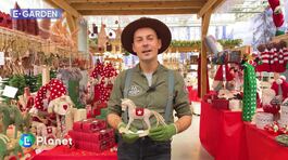 E-Garden: le tendenze del Natale 2023 thumbnail