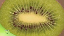 Le proprietà nutrizionali del kiwi thumbnail