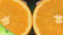 Coltivazione biologica e raccolta di arance ed altri agrumi thumbnail