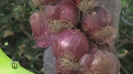 Sapori di Calabria thumbnail